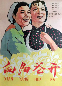 风车动漫视频在线观看免费高清